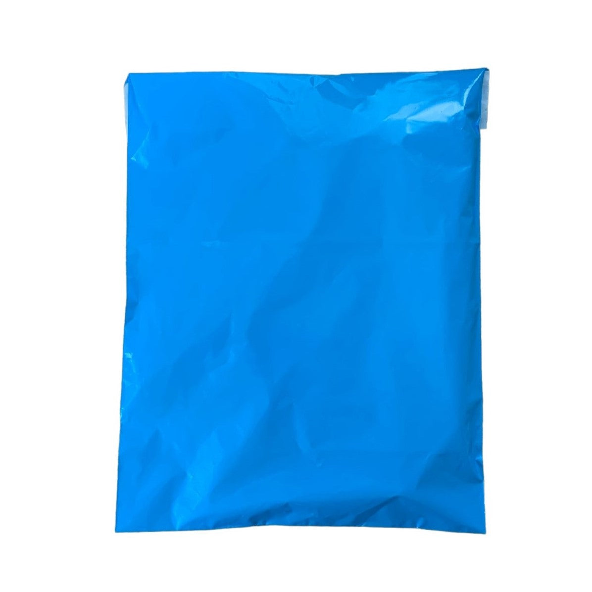 Blue Poly Mailer | 24.5 x 31.5cm